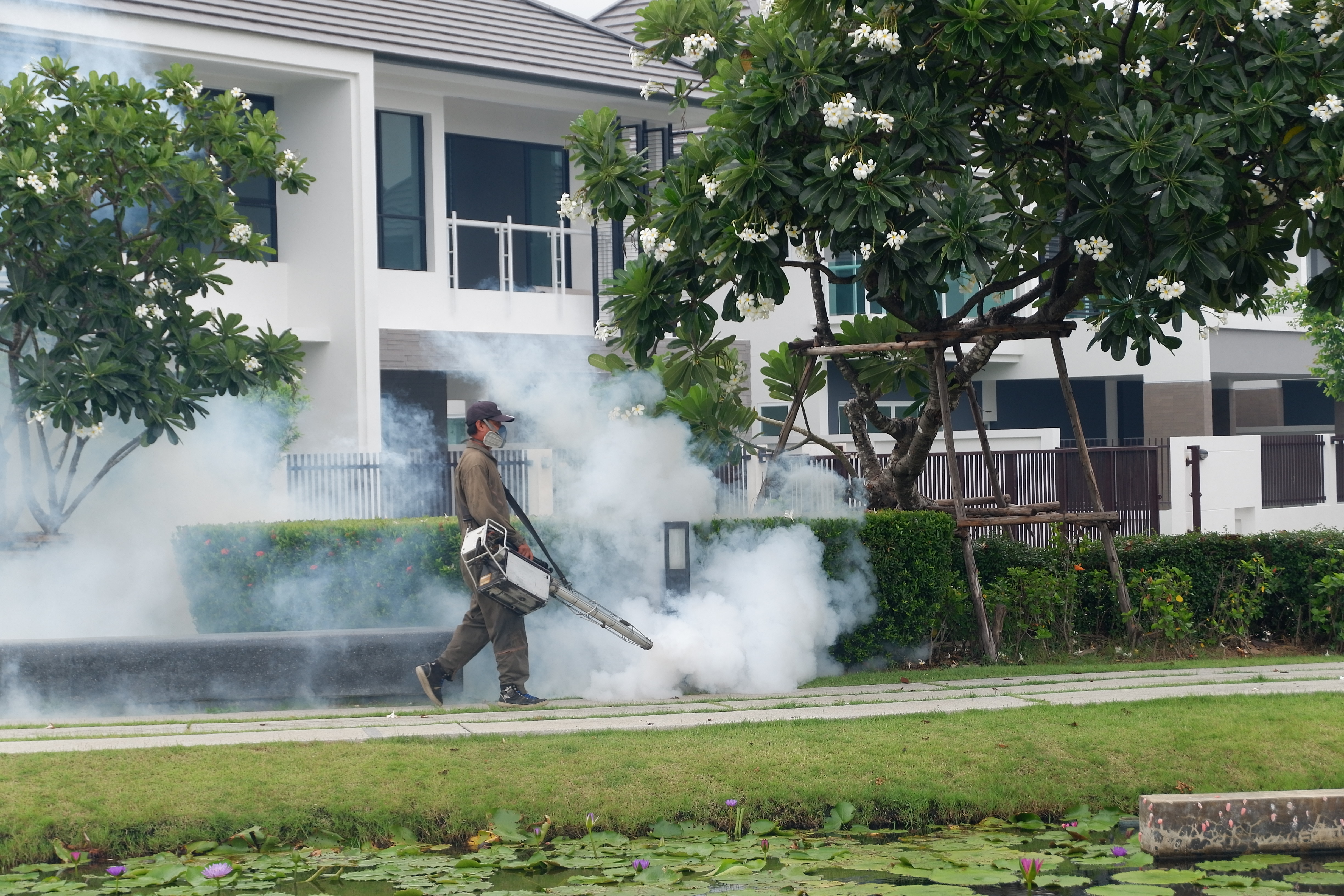 บลูลากูน 2 – ไอฟีลบางนา ห่วงใยสุขภาพลูกบ้าน ฉีดพ่นตัดวงจรยุงลาย ลดปัญหาไข้เลือดออก