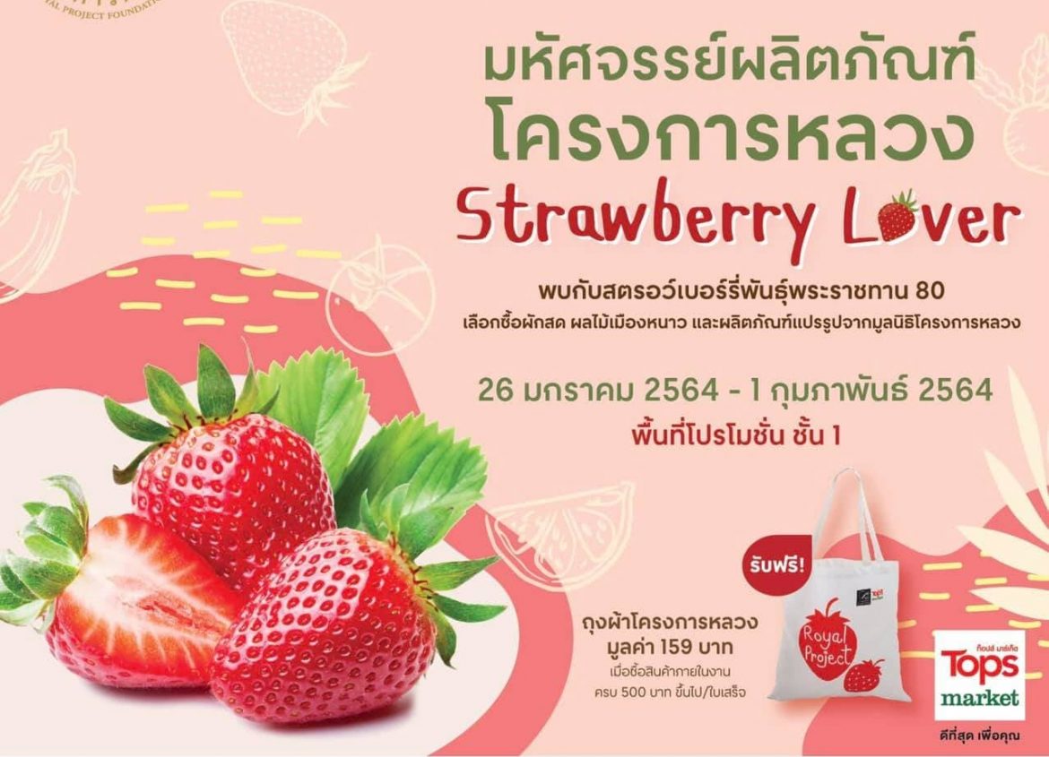 มหัศจรรย์ผลิตภัณฑ์โครงการหลวง : Strawberry Lover