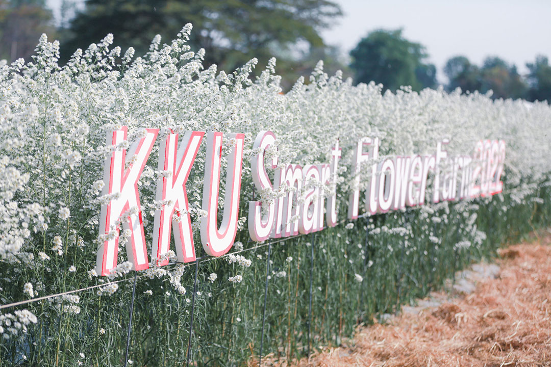 มข.เปิด โครงการ “KKU Smart flower farm 2022”  สร้างแนวคิด ผปก.ให้กับ นศ.จากประสบการณ์จริง