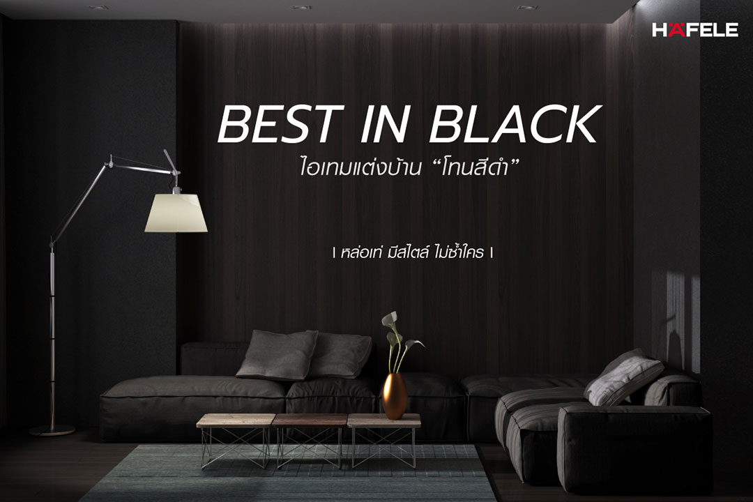 รวมไอเดียแต่งบ้านโทนสีดำ ให้เรียบหรูคลาสสิค ในสไตล์ BLACK IN BLACK