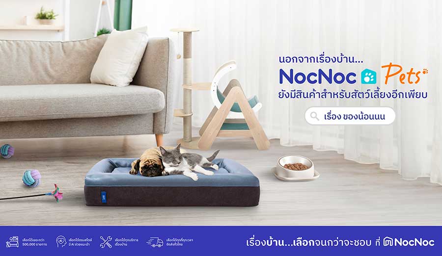 NocNoc ขยายหมวดสินค้า “Pets Category” เจาะกลุ่มคุณพ่อ-คุณแม่น้อน ๆสร้าง Pets Destination แหล่งช้อปแห่งใหม่